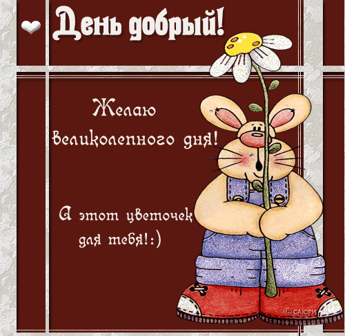 Скачать бесплатно открытки с зайчиками. Открытки с зайчиками gif.