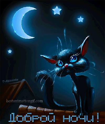 Гифки с пожеланиями сладких снов с котиками