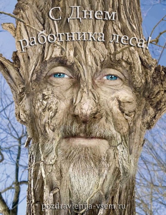 Открытки с днём работника леса скачать бесплатно. Открытки с днём работника л...