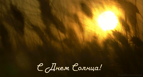 Открытки с Всемирным днём солнца скачать. Бесплатные открытки с днём солнца.