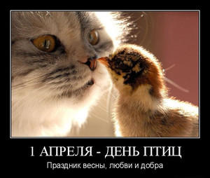 Открытки с днём птиц скачать бесплатно. Открытки с днём птиц с анимациями.