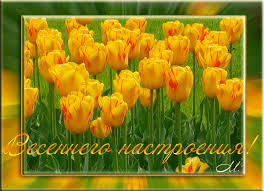 Открытки с полем тюльпанов анимационные. Открытки с полем тюльпанов gif.