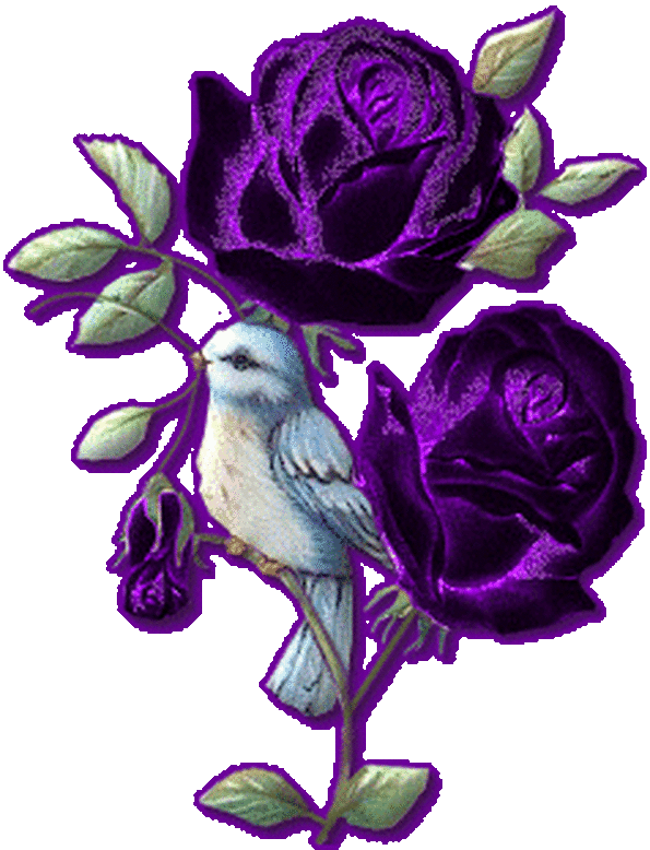 Открытки с фиолетовыми розами скачать бесплатно. Открытки с фиолетовыми розами онлайн.