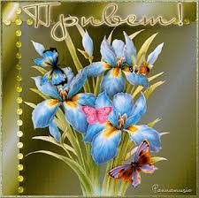 Открытки с ирисами скачать. Открытки с ирисами бесплатно онлайн.