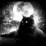 Открытки с Луной в ночном небе скачать бесплатно. Открытки с Луной gif.