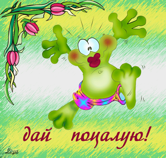 Открытки с лягушками скачать бесплатно. Открытки с лягушками gif.