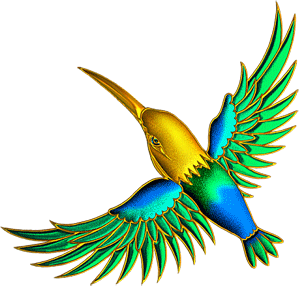 Открытки с колибри скачать бесплатно. Открытки с колибри онлайн.