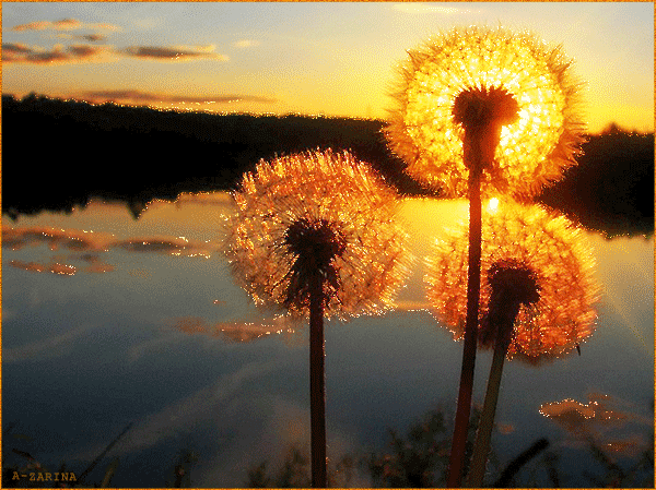Открытки с красивой природой скачать бесплатно. Открытки с красивой природой ...