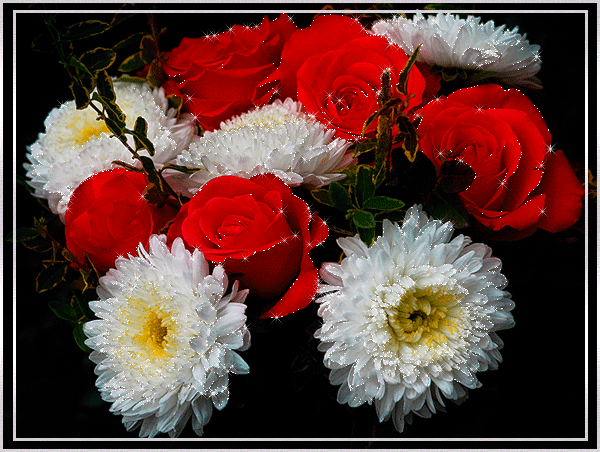 Скачать бесплатно анимационные открытки с цветами. Красивые открытки с цветами.