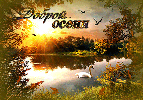 Открытки осень скачать бесплатно. Красивые открытки осень gif.