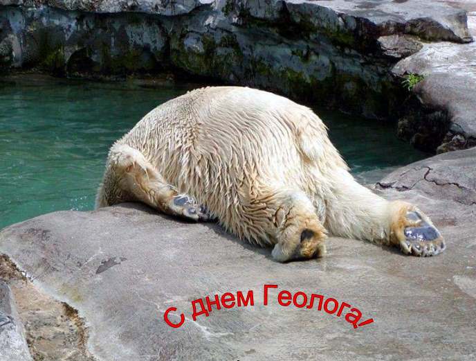 Открытки с днём геолога скачать бесплатно. Открытки с днём геолога gif.