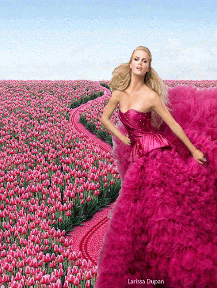 Нежные открытки с розовыми тюльпанами. Открытки с розовыми тюльпанами скачать.