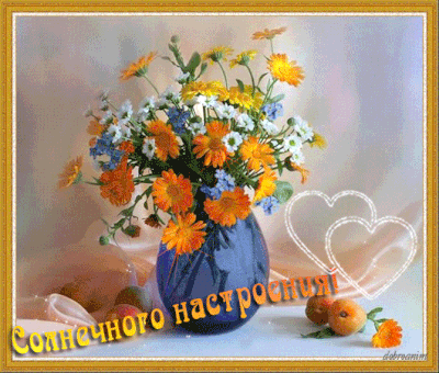 Открытки с календулой скачать бесплатно. Открытки с календулой онлайн.