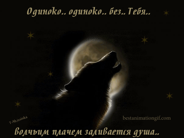 Анимационные открытки с волками. Скачать открытки с волками gif.