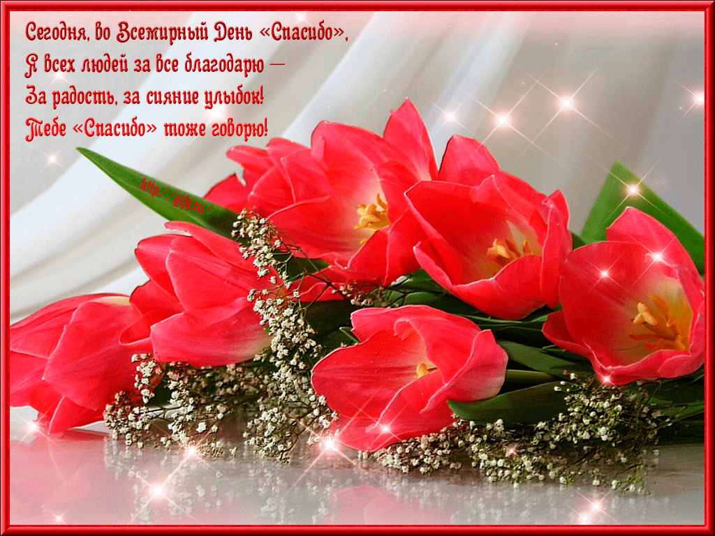 Открытки с Всемирным днём спасибо скачать бесплатно gif.    