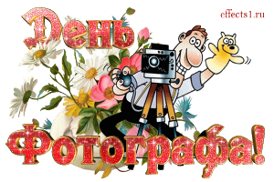Открытки с днём фотографа скачать. Открытки с днём фотографа бесплатно.