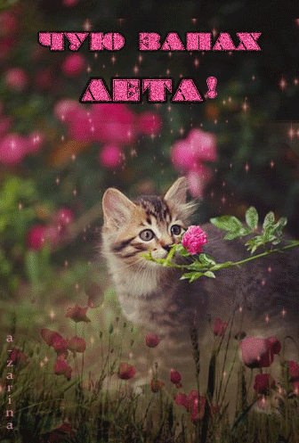 Скачать открытки хорошего лета. Анимационные открытки с пожеланиями.