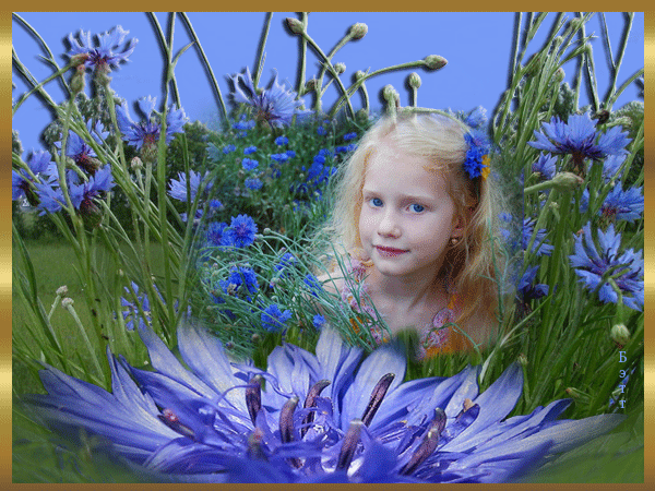 Открытки с букетом васильков скачать бесплатно. Открытки с букетом васильков ...