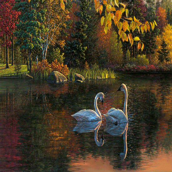 Открытки с весенним лесом скачать бесплатно. Открытки с весенним лесом онлайн.