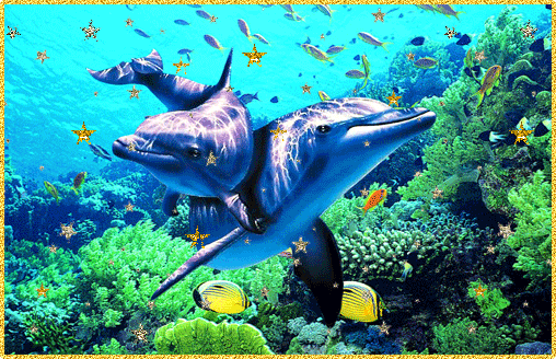 Открытки с дельфинами с анимациями. Открытки с дельфинами скачать.