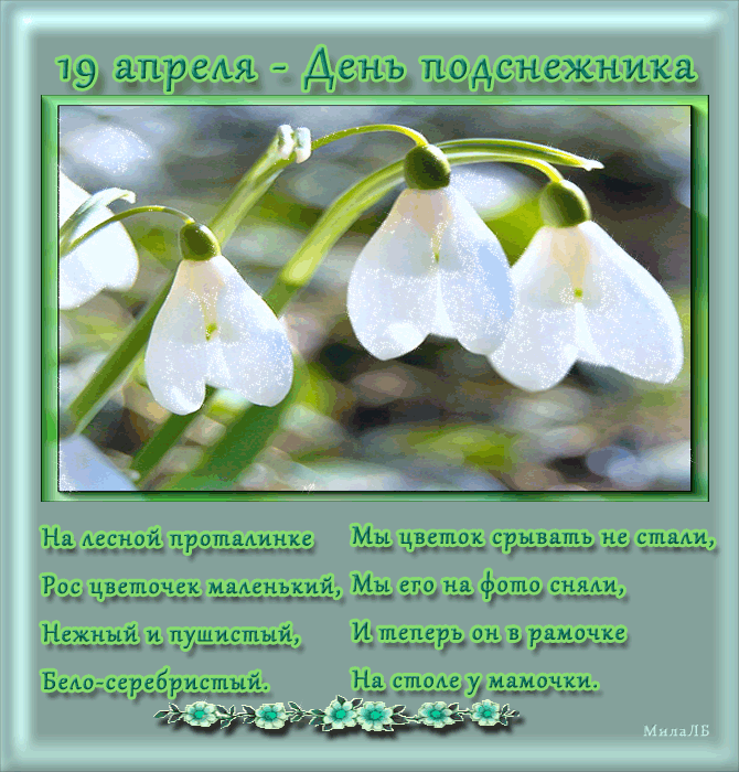 Открытки с днём подснежника gif. Открытки с днём подснежника скачать.