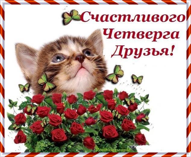 Привет четверг. Открытки с приколами и пожеланиями на четверг