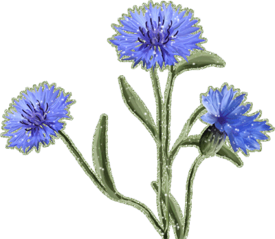 Открытки с букетом васильков скачать бесплатно. Открытки с букетом васильков ...