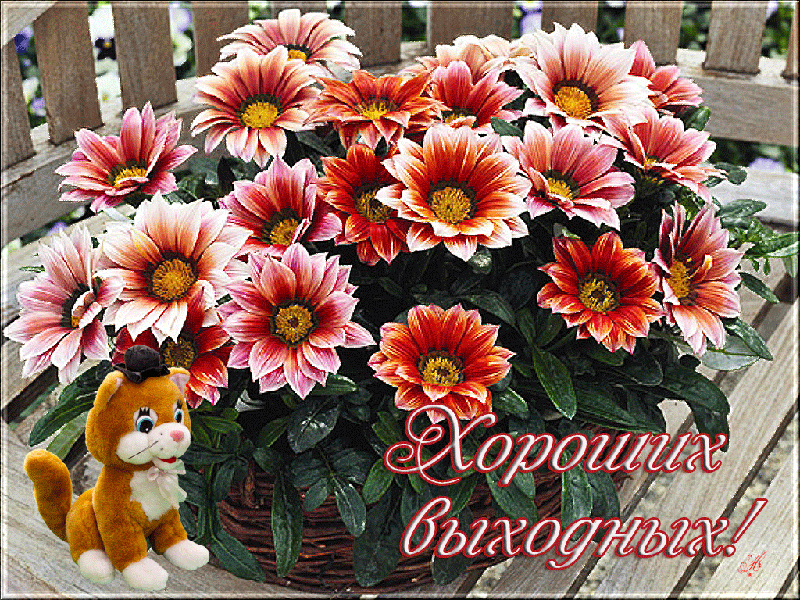 Скачать бесплатно открытки с пожеланиями хороших выходных дней. 