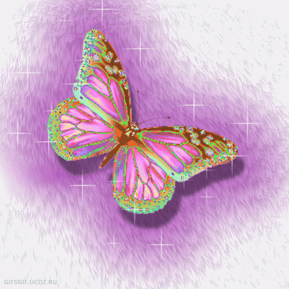 Открытки с бабочками с анимациями. Открытки с бабочками gif.