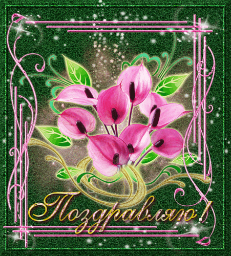 Скачать  бесплатно  Поздравительные  открытки с  анимациями.