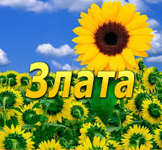 Открытки с именем Злата скачать бесплатно. Открытки с именем Злата с признани...