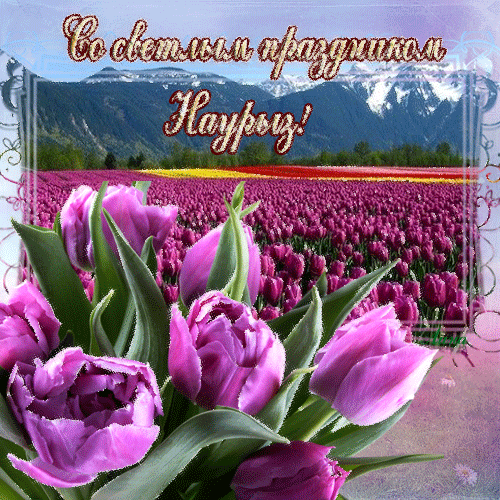 Анимационные открытки с праздником Наурыз скачать бесплатно.