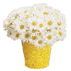 Открытки с букетом ромашек скачать бесплатно. Открытки с букетом ромашек онлайн.