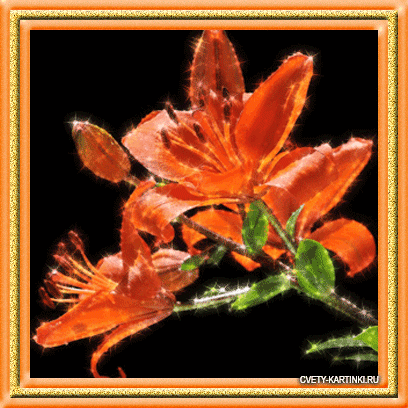 Открытки с оранжевыми лилиями скачать бесплатно. Открытки с оранжевыми лилиям...