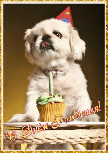 Анимационные открытки с собаками. Скачать бесплатно открытки с собаками.