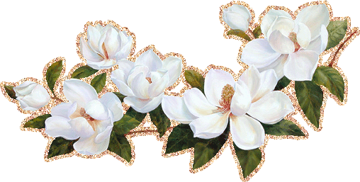 Открытки с цветами жасмина скачать. Открытки с цветами жасмина анимационные.