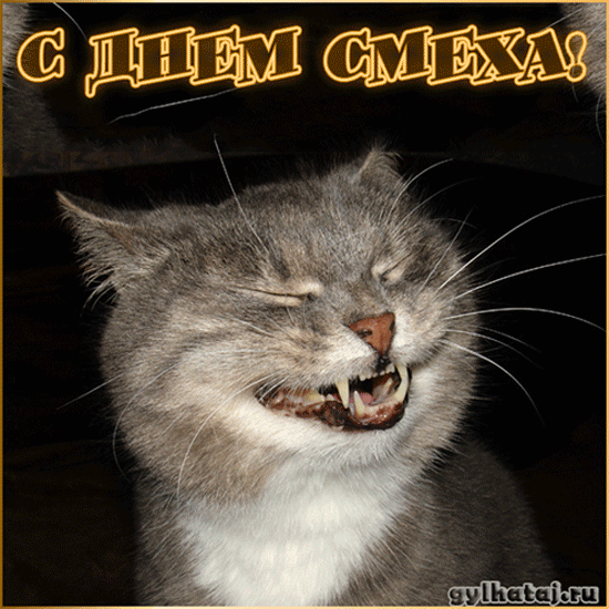 Скачать бесплатно прикольные открытки на 1 апреля с анимациями.