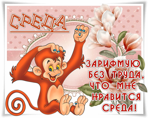 Открытки на среду скачать. Открытки на среду с пожеланиями бесплатно.