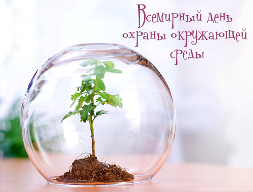 Открытки с днём охраны окружающей среды скачать бесплатно.   