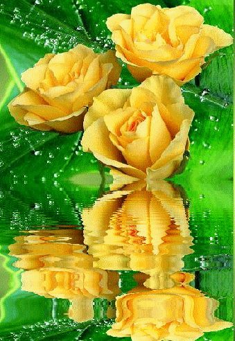 Открытки с желтыми розами скачать. Анимационные открытки с желтыми розами.
