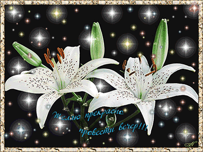 Открытки с пожеланиями хорошего вечера скачать бесплатно gif. 