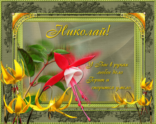 Открытки с именем Николай gif. Открытки с именем Николай скачать бесплатно.