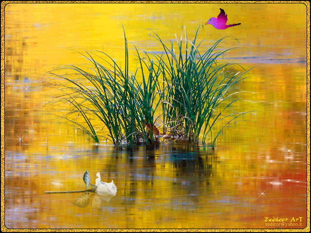 Открытки с красивой природой скачать бесплатно. Открытки с красивой природой ...