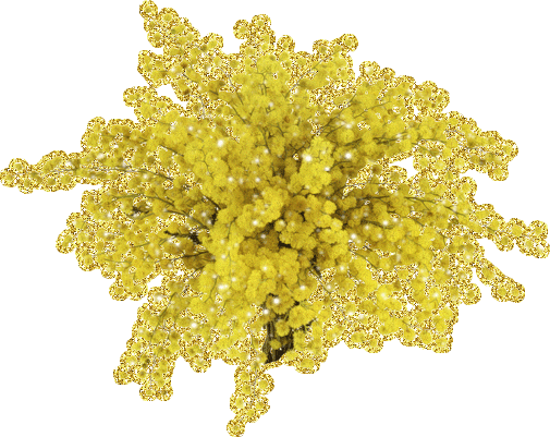 Открытки с мимозой скачать бесплатно. Открытки с мимозой онлайн.