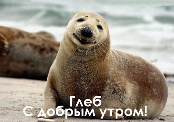 Открытки с именем Глеб скачать бесплатно. Открытки с именем Глеб gif.