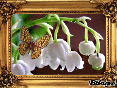 Открытки с ландышами скачать. Открытки с ландышами онлайн бесплатно.