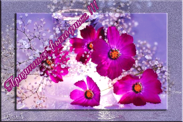 Скачать бесплатно открытки с пожеланиями хороших выходных дней. 