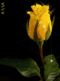 Открытки с желтыми розами скачать. Анимационные открытки с желтыми розами.