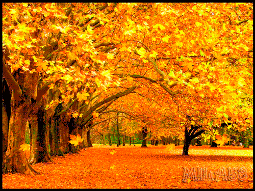 Открытки с листопадом скачать. Открытки с листопадом бесплатно.