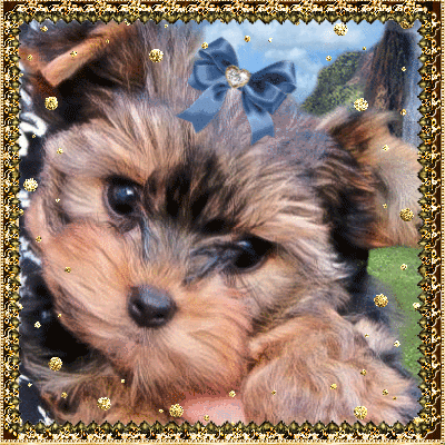 Анимационные открытки с собаками. Скачать бесплатно открытки с собаками.